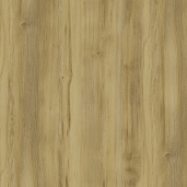 Дуб Винченцо